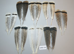 8 Pairs Turkey Feathers, Tail Feathers, Fly Tying Materials, Natural Feathers (AMZ-211)