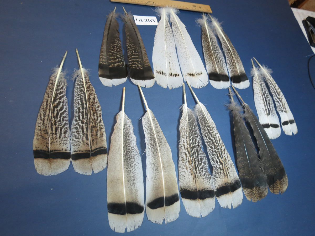 8 Pairs Turkey Feathers, Tail Feathers, Fly Tying Materials, Natural Feathers (AMZ-211)