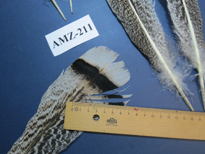 8 Pairs Turkey Feathers, Tail Feathers, Fly Tying Materials, Natural Feathers (AMZ-211)