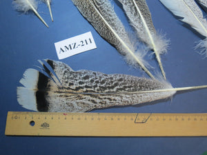 8 Pairs Turkey Feathers, Tail Feathers, Fly Tying Materials, Natural Feathers (AMZ-211)