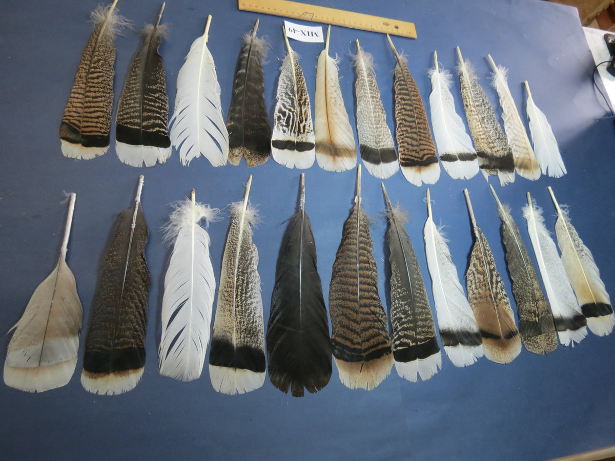 24 Pcs Natural Turkey Tail Feathers, Fly Tying Materials, Genuine Feathers (MIX-49)