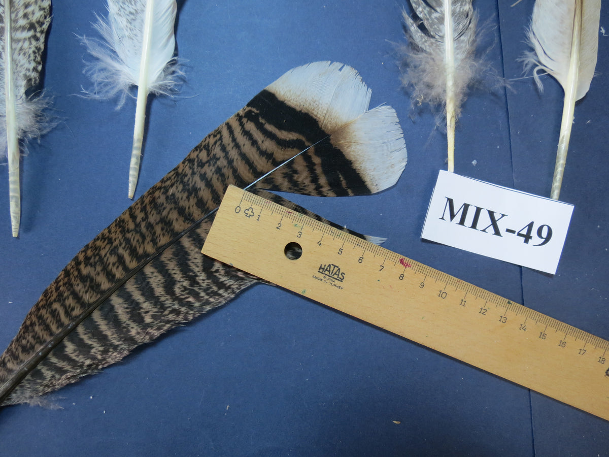 24 Pcs Natural Turkey Tail Feathers, Fly Tying Materials, Genuine Feathers (MIX-49)