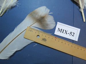 24 Pcs Natural Turkey Tail Feathers, Fly Tying Materials, Genuine Feathers (MIX-52)