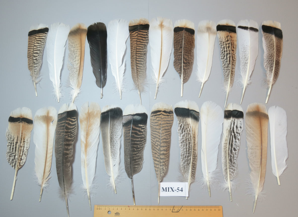 24 Pcs Natural Turkey Tail Feathers, Fly Tying Materials, Genuine Feathers (MIX-54)