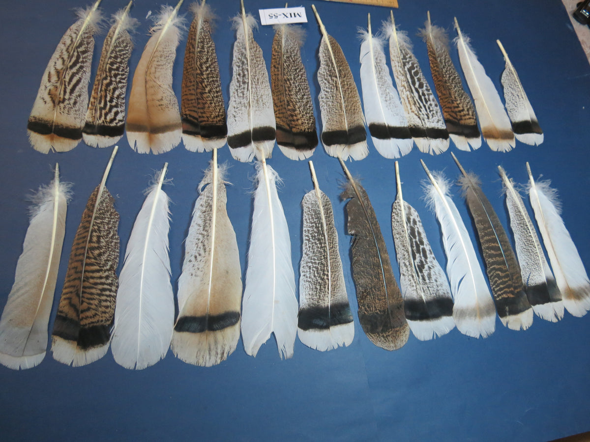 24 Pcs Natural Turkey Tail Feathers, Fly Tying Materials, Genuine Feathers (MIX-55)