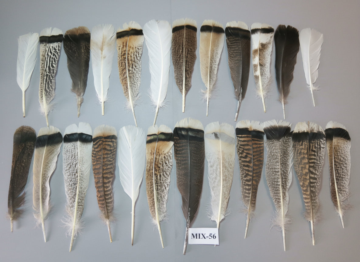 24 Pcs Natural Turkey Tail Feathers, Fly Tying Materials, Genuine Feathers (MIX-56)