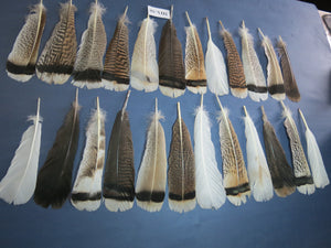 24 Pcs Natural Turkey Tail Feathers, Fly Tying Materials, Genuine Feathers (MIX-56)