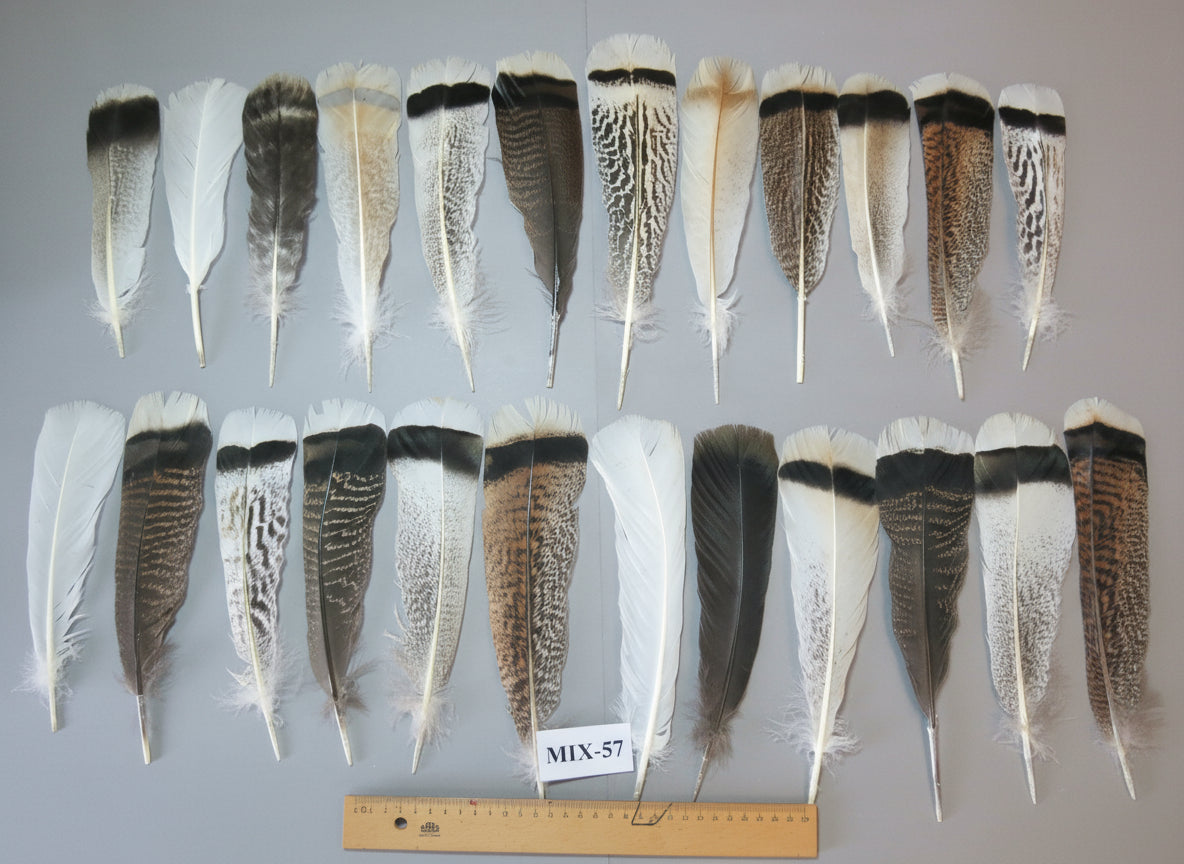 24 Pcs Natural Turkey Tail Feathers, Fly Tying Materials, Genuine Feathers (MIX-57)