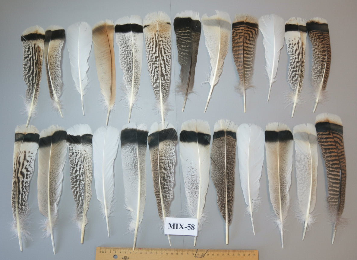 24 Pcs Natural Turkey Tail Feathers, Fly Tying Materials, Genuine Feathers (MIX-58)