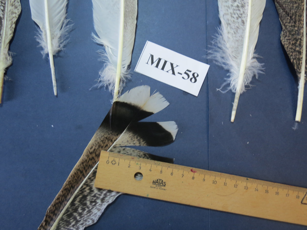 24 Pcs Natural Turkey Tail Feathers, Fly Tying Materials, Genuine Feathers (MIX-58)