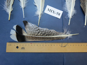 24 Pcs Natural Turkey Tail Feathers, Fly Tying Materials, Genuine Feathers (MIX-58)