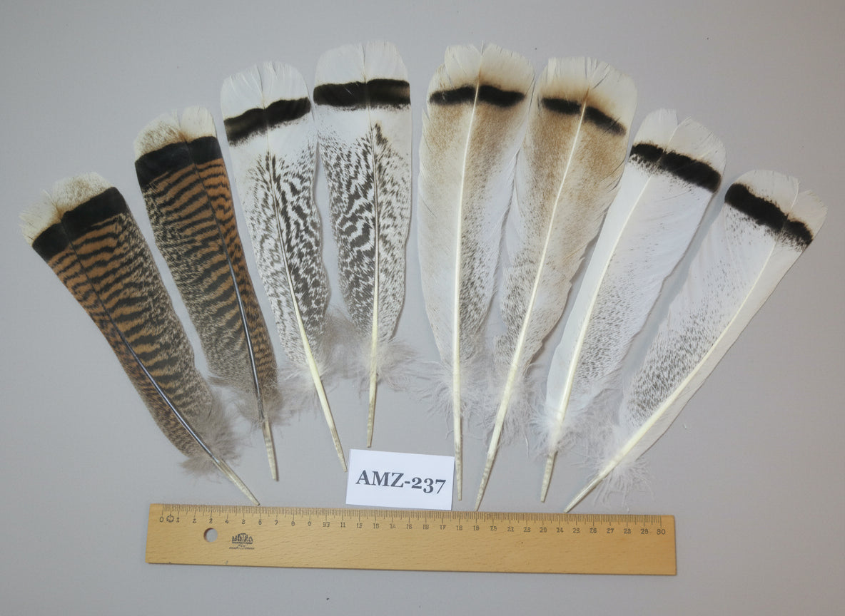 4 Pairs Of Turkey Feathers, Tail Feathers, Fly Tying Materials, Genuine Feathers (AMZ-237)