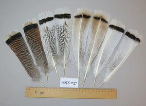4 Pairs Of Turkey Feathers, Tail Feathers, Fly Tying Materials, Genuine Feathers (AMZ-237)