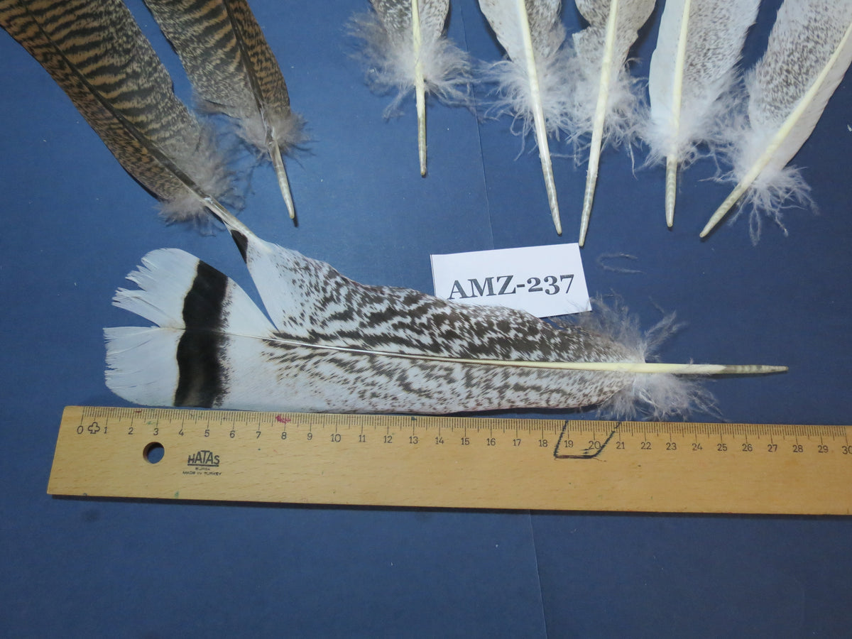 4 Pairs Of Turkey Feathers, Tail Feathers, Fly Tying Materials, Genuine Feathers (AMZ-237)