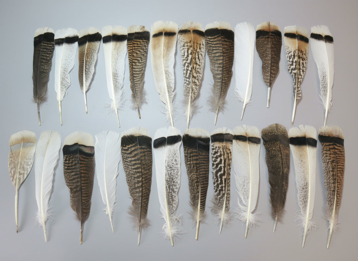 24 Pcs Natural Turkey Tail Feathers, Fly Tying Materials, Genuine Feathers (MIX-59)