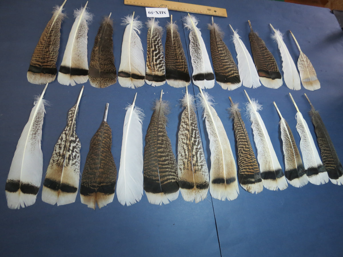 24 Pcs Natural Turkey Tail Feathers, Fly Tying Materials, Genuine Feathers (MIX-59)