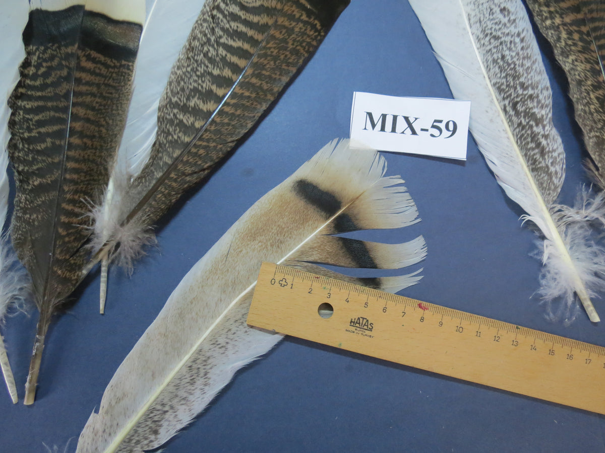 24 Pcs Natural Turkey Tail Feathers, Fly Tying Materials, Genuine Feathers (MIX-59)