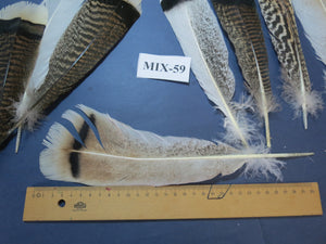 24 Pcs Natural Turkey Tail Feathers, Fly Tying Materials, Genuine Feathers (MIX-59)