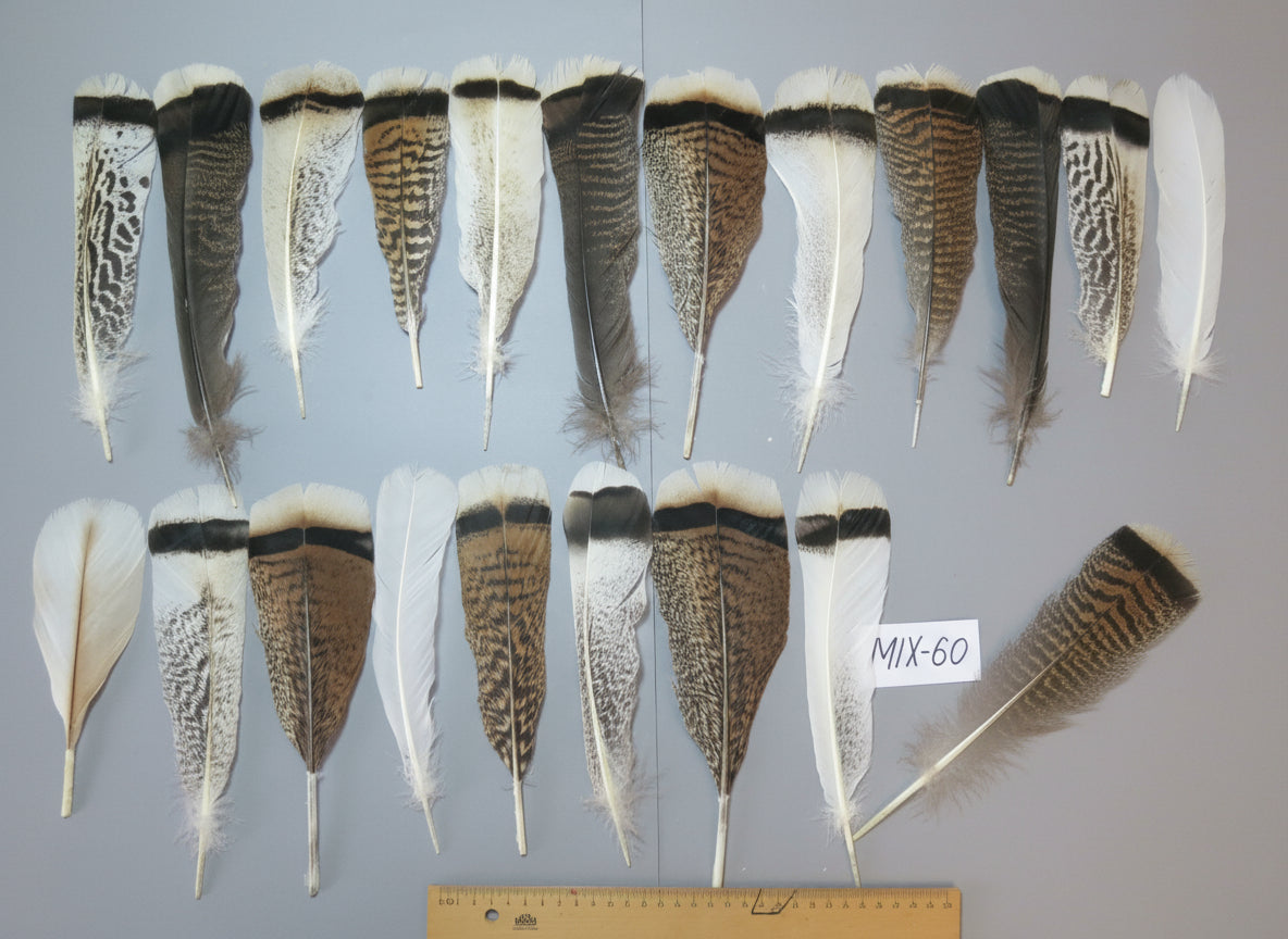 24 Pcs Natural Turkey Tail Feathers, Fly Tying Materials, Genuine Feathers (MIX-60)