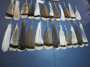 24 Pcs Natural Turkey Tail Feathers, Fly Tying Materials, Genuine Feathers (MIX-60)