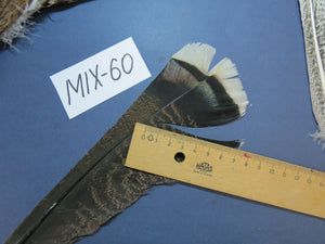 24 Pcs Natural Turkey Tail Feathers, Fly Tying Materials, Genuine Feathers (MIX-60)