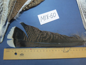 24 Pcs Natural Turkey Tail Feathers, Fly Tying Materials, Genuine Feathers (MIX-60)