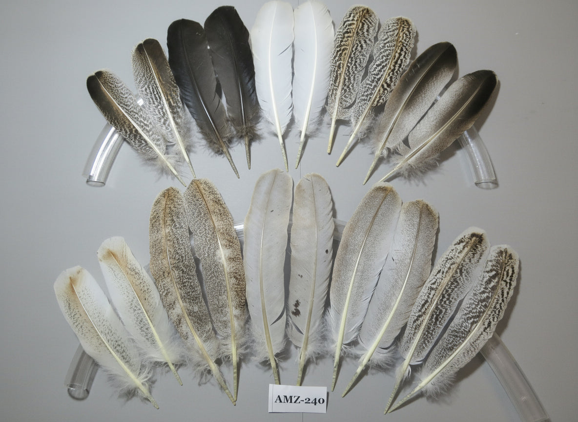 10 Pairs Turkey Wing Feathers, Amazing Feathers, Fly Tying Materials,Craft Tools (AMZ-240)