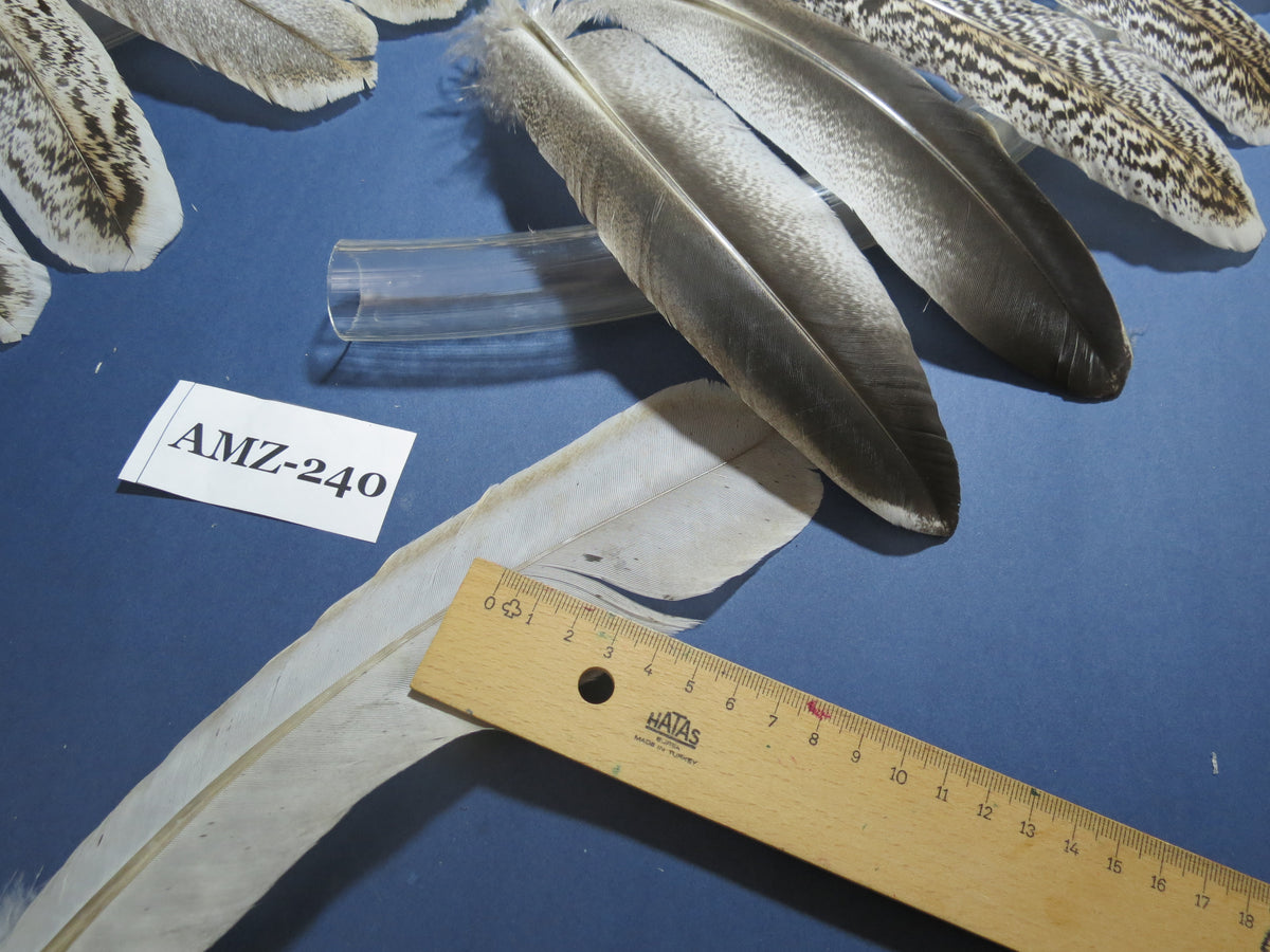 10 Pairs Turkey Wing Feathers, Amazing Feathers, Fly Tying Materials,Craft Tools (AMZ-240)