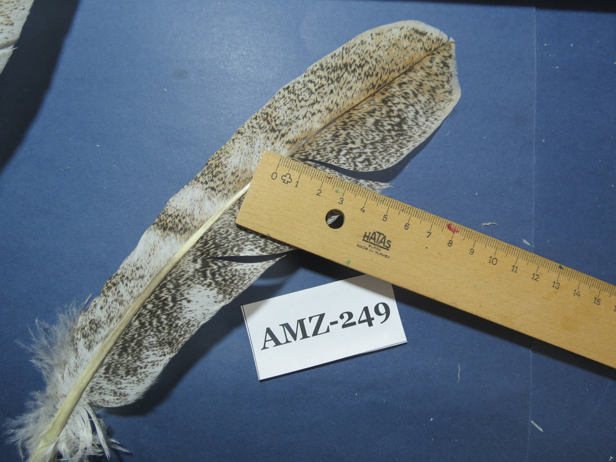 10 Pairs Turkey Wing Feathers, Amazing Feathers, Fly Tying Materials,Craft Tools (AMZ-249)