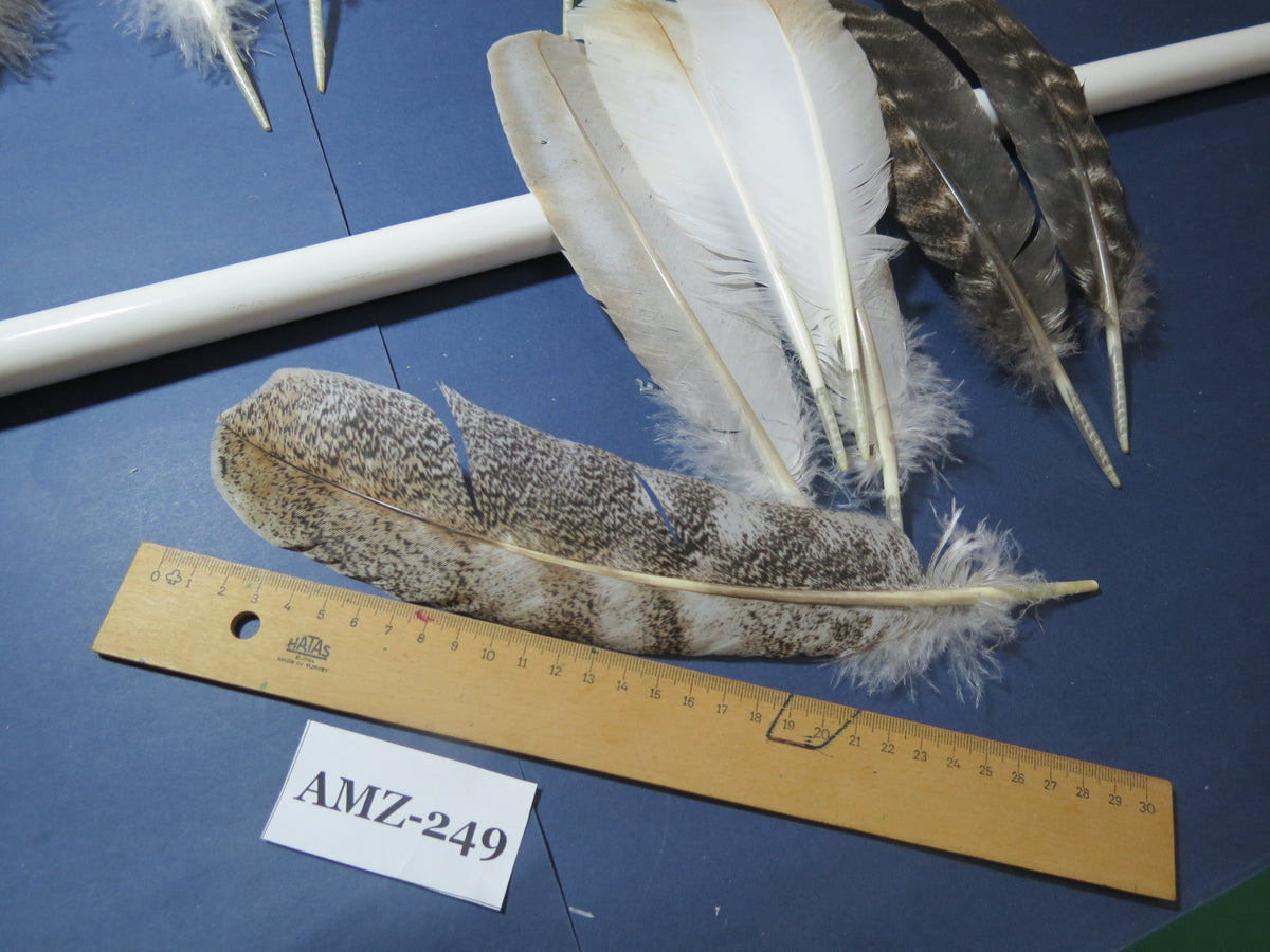 10 Pairs Turkey Wing Feathers, Amazing Feathers, Fly Tying Materials,Craft Tools (AMZ-249)