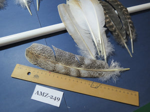 10 Pairs Turkey Wing Feathers, Amazing Feathers, Fly Tying Materials,Craft Tools (AMZ-249)