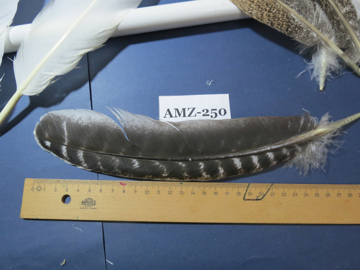 10 Pairs Turkey Wing Feathers, Amazing Feathers, Fly Tying Materials,Craft Tools (AMZ-250)