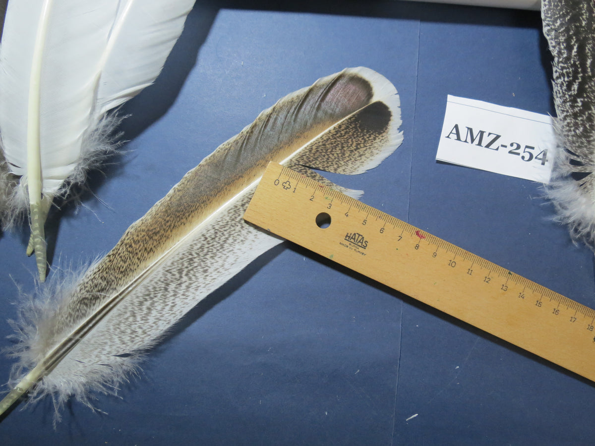 10 Pairs Turkey Wing Feathers, Amazing Feathers, Fly Tying Materials,Craft Tools (AMZ-254)