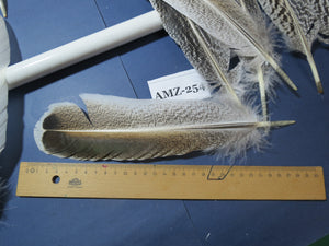 10 Pairs Turkey Wing Feathers, Amazing Feathers, Fly Tying Materials,Craft Tools (AMZ-254)