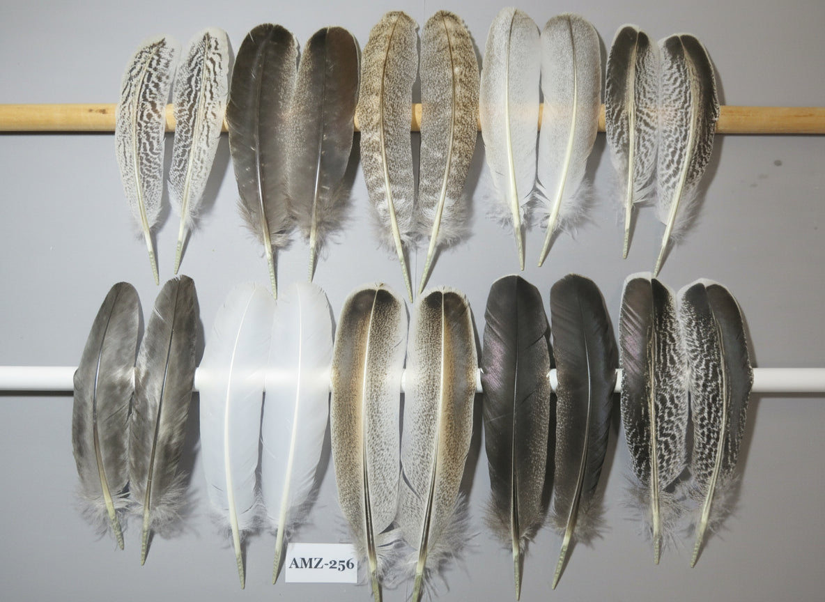 10 Pairs Turkey Wing Feathers, Amazing Feathers, Fly Tying Materials,Craft Tools (AMZ-256)