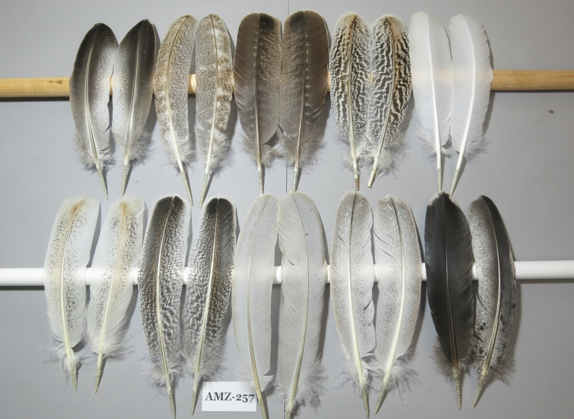 10 Pairs Turkey Wing Feathers, Amazing Feathers, Fly Tying Materials,Craft Tools (AMZ-257)