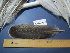 10 Pairs Turkey Wing Feathers, Amazing Feathers, Fly Tying Materials,Craft Tools (AMZ-257)