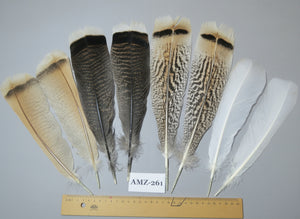 4 Pairs Of Turkey Feathers, Tail Feathers, Fly Tying Materials, Genuine Feathers (AMZ-261)