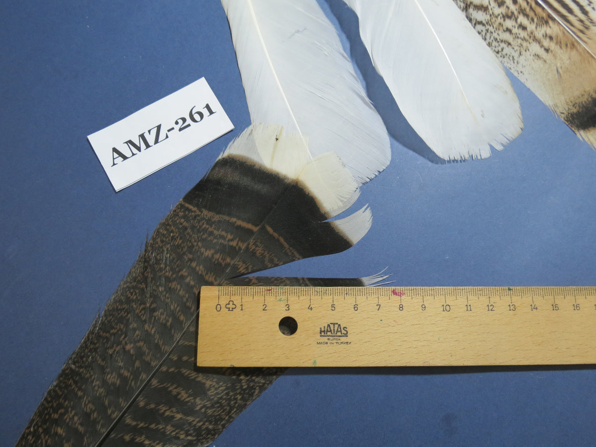 4 Pairs Of Turkey Feathers, Tail Feathers, Fly Tying Materials, Genuine Feathers (AMZ-261)