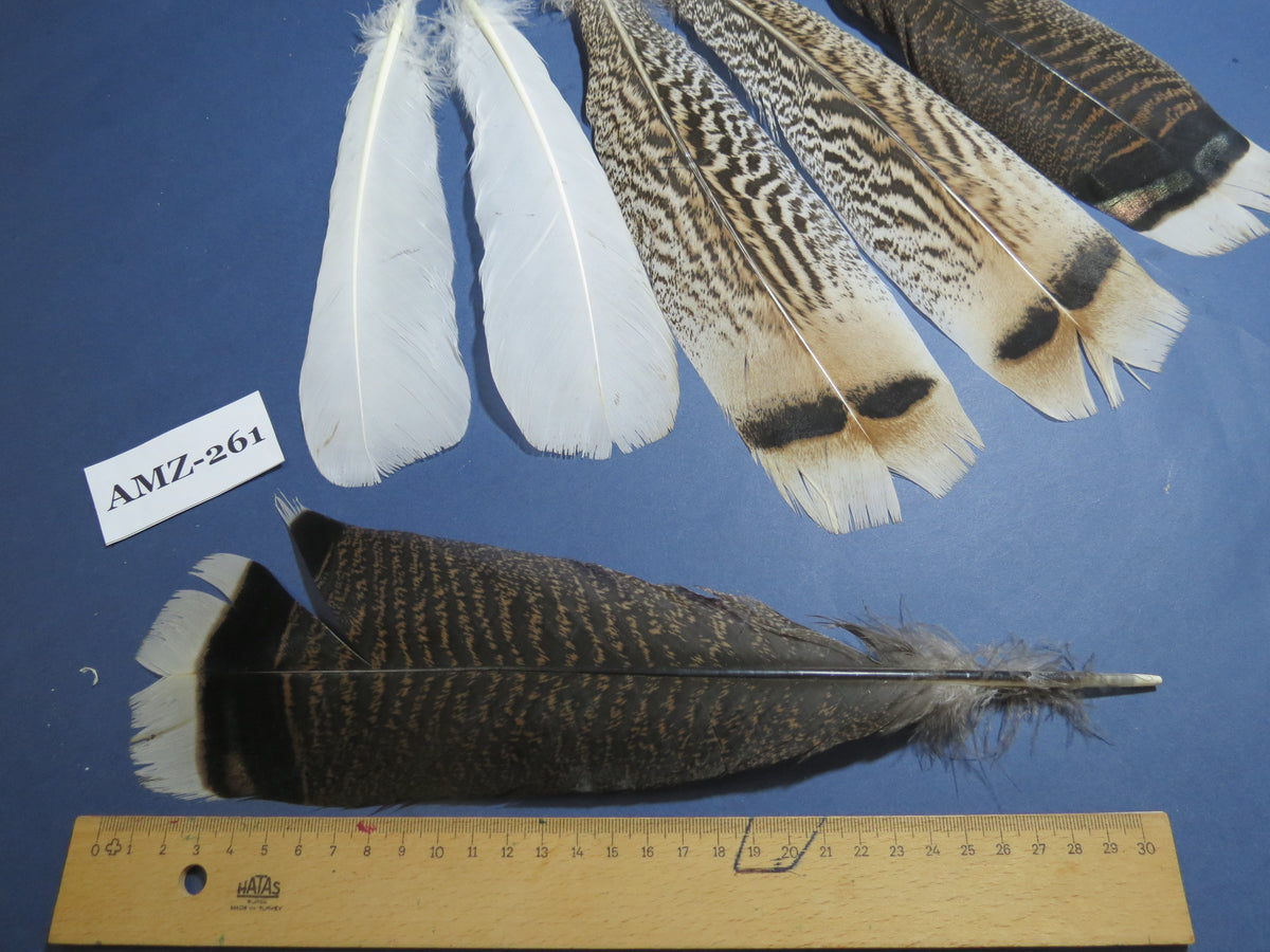 4 Pairs Of Turkey Feathers, Tail Feathers, Fly Tying Materials, Genuine Feathers (AMZ-261)