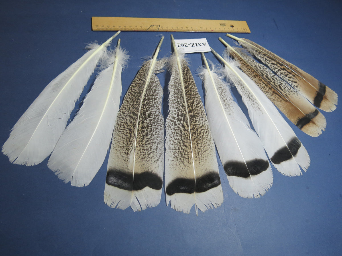4 Pairs Of Turkey Feathers, Tail Feathers, Fly Tying Materials, Genuine Feathers (AMZ-262)