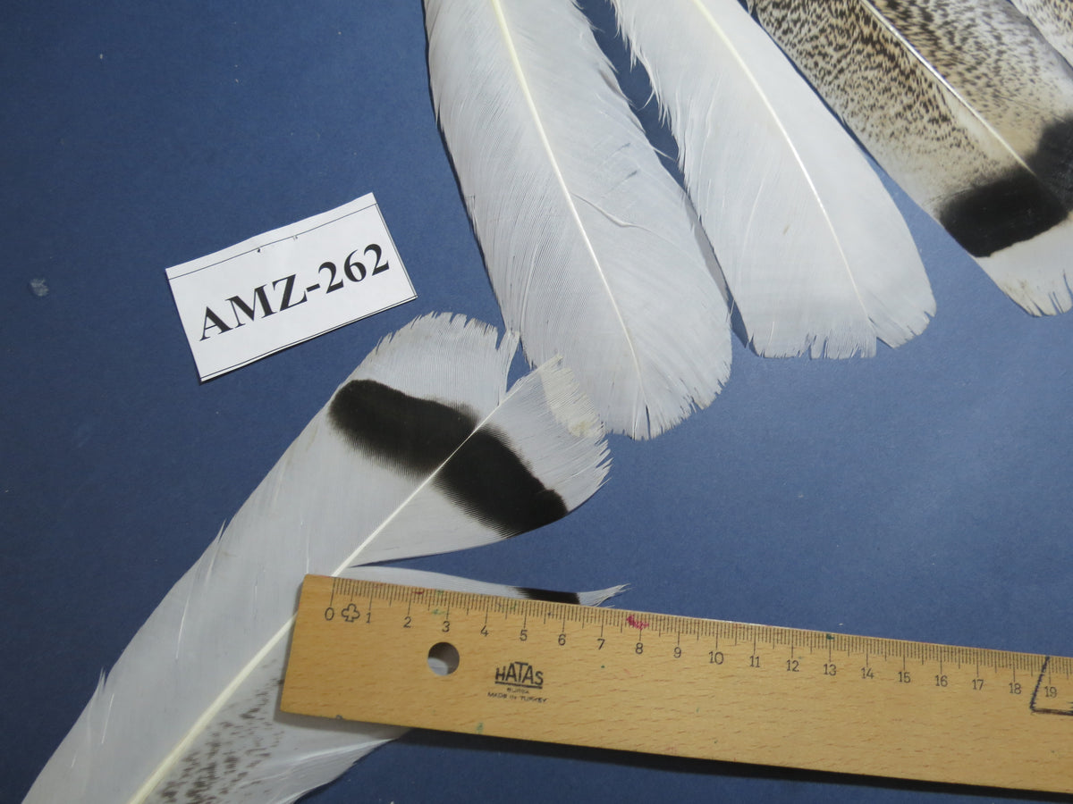 4 Pairs Of Turkey Feathers, Tail Feathers, Fly Tying Materials, Genuine Feathers (AMZ-262)