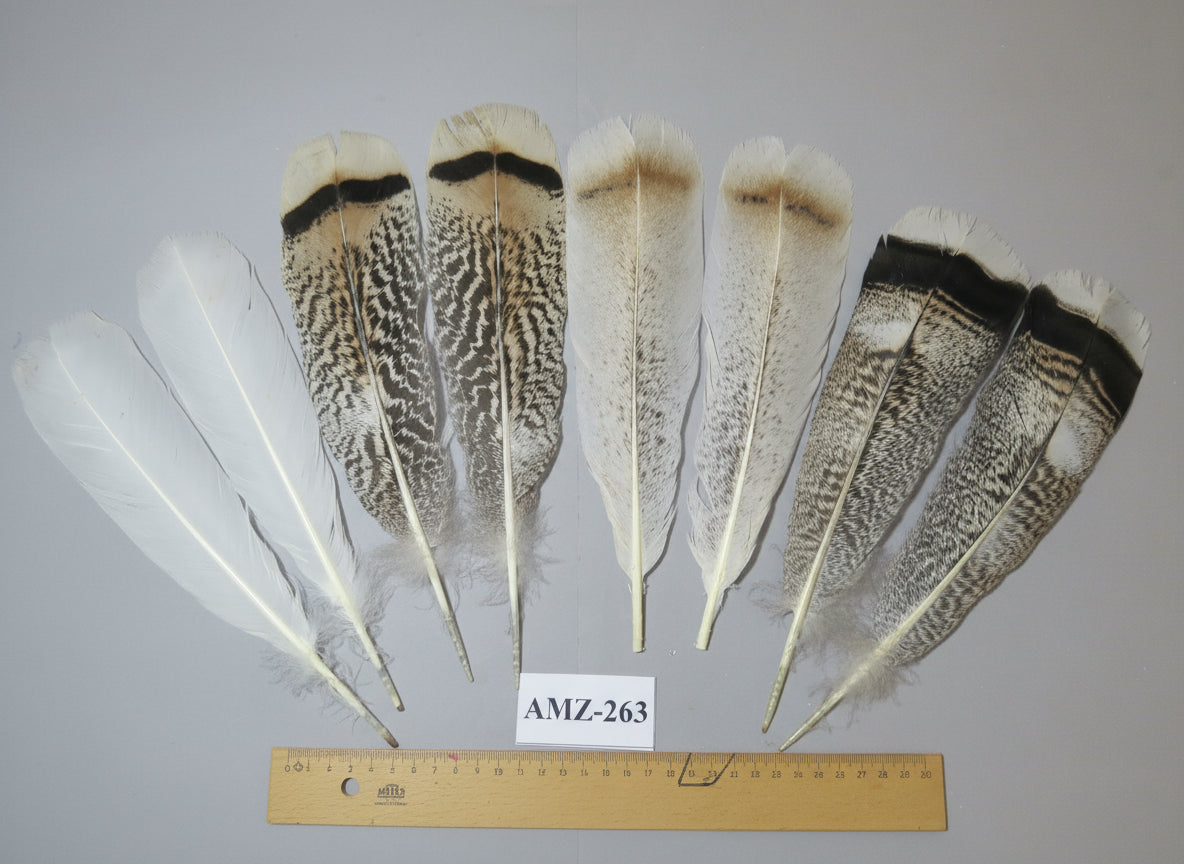 4 Pairs Of Turkey Feathers, Tail Feathers, Fly Tying Materials, Genuine Feathers (AMZ-263)