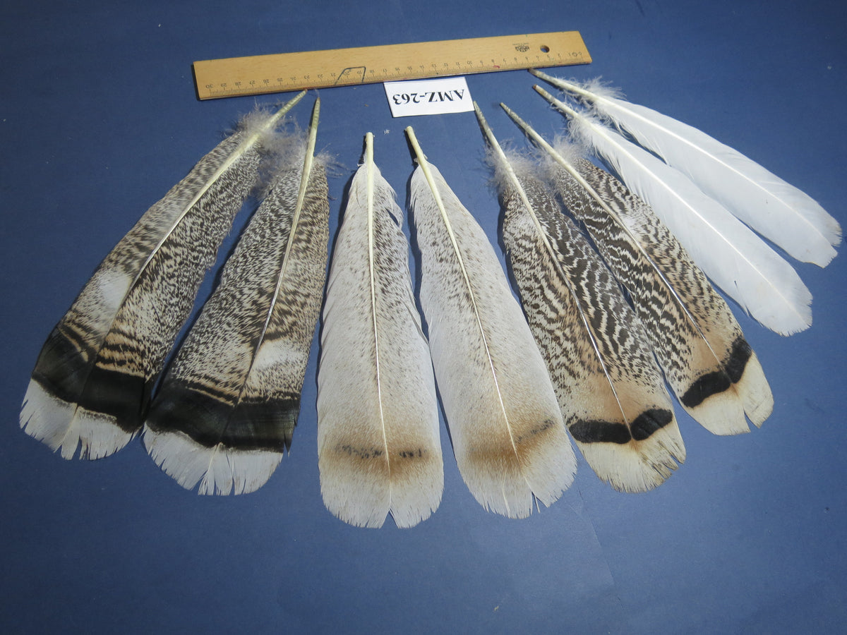 4 Pairs Of Turkey Feathers, Tail Feathers, Fly Tying Materials, Genuine Feathers (AMZ-263)