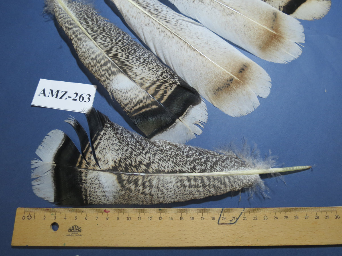 4 Pairs Of Turkey Feathers, Tail Feathers, Fly Tying Materials, Genuine Feathers (AMZ-263)
