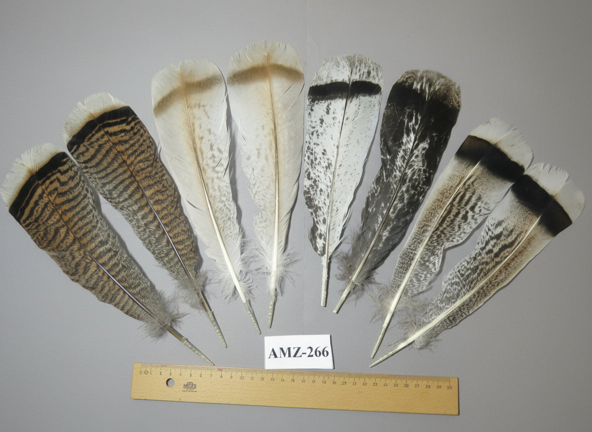 4 Pairs Of Turkey Feathers, Tail Feathers, Fly Tying Materials, Genuine Feathers (AMZ-266)