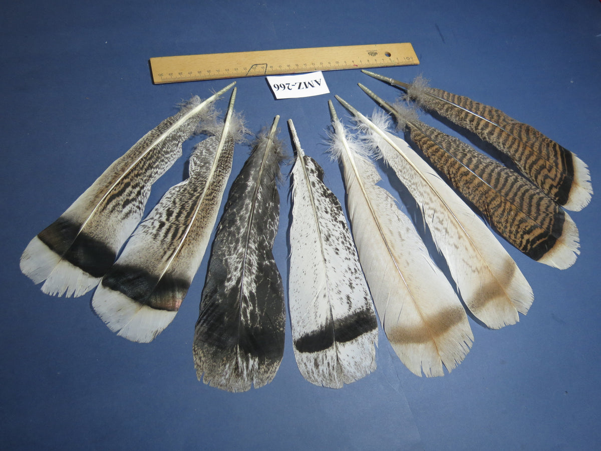 4 Pairs Of Turkey Feathers, Tail Feathers, Fly Tying Materials, Genuine Feathers (AMZ-266)