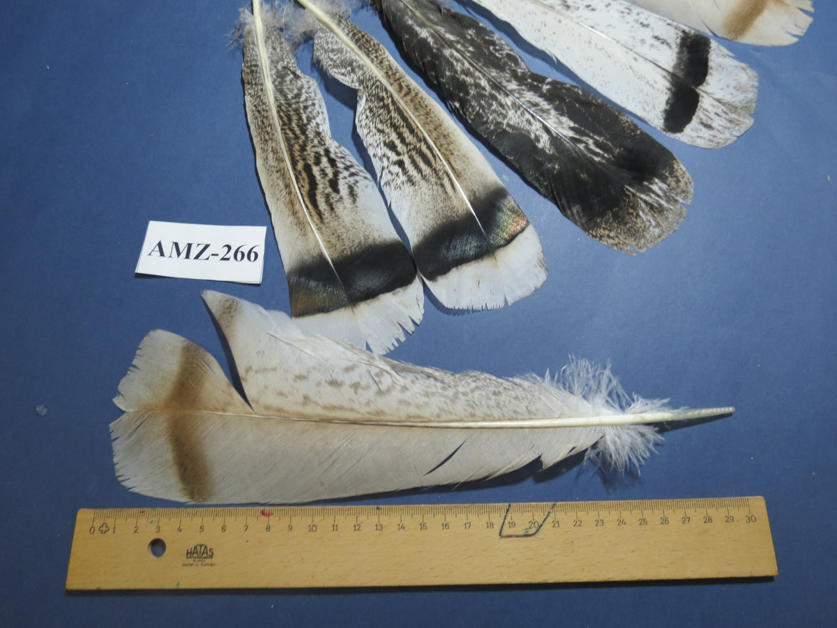 4 Pairs Of Turkey Feathers, Tail Feathers, Fly Tying Materials, Genuine Feathers (AMZ-266)