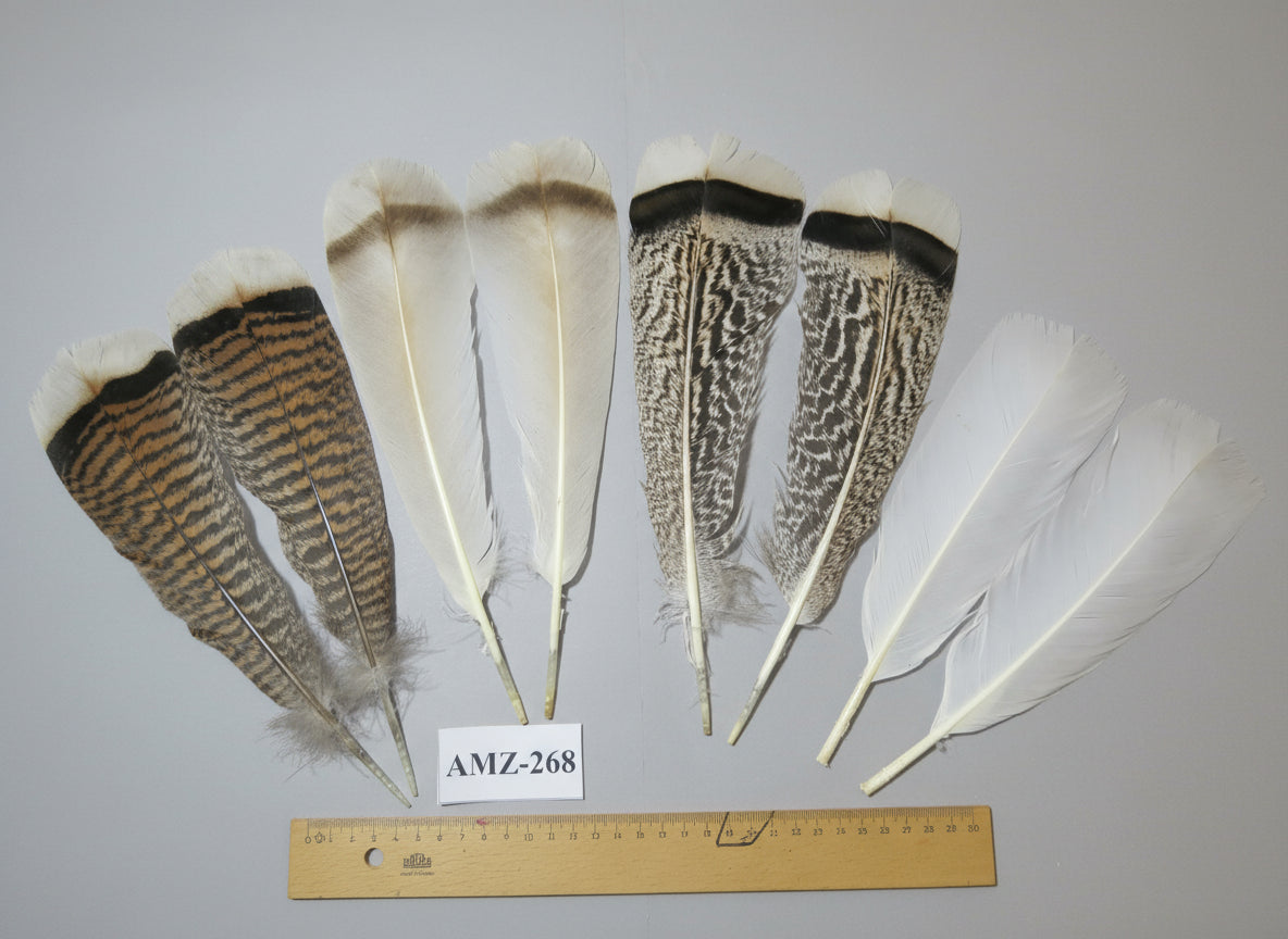 4 Pairs Of Turkey Feathers, Tail Feathers, Fly Tying Materials, Genuine Feathers (AMZ-268)