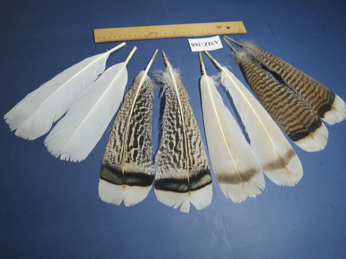 4 Pairs Of Turkey Feathers, Tail Feathers, Fly Tying Materials, Genuine Feathers (AMZ-268)